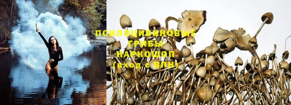 apvp Абинск