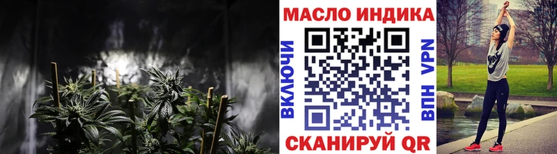 дарнет шоп  Кизляр  Дистиллят ТГК вейп 