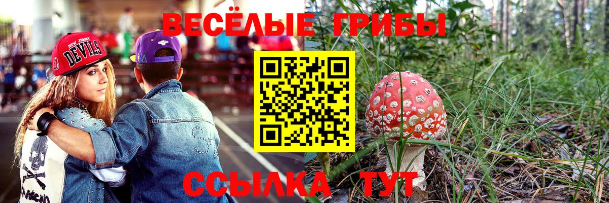 Псилоцибиновые грибы мицелий Кизляр
