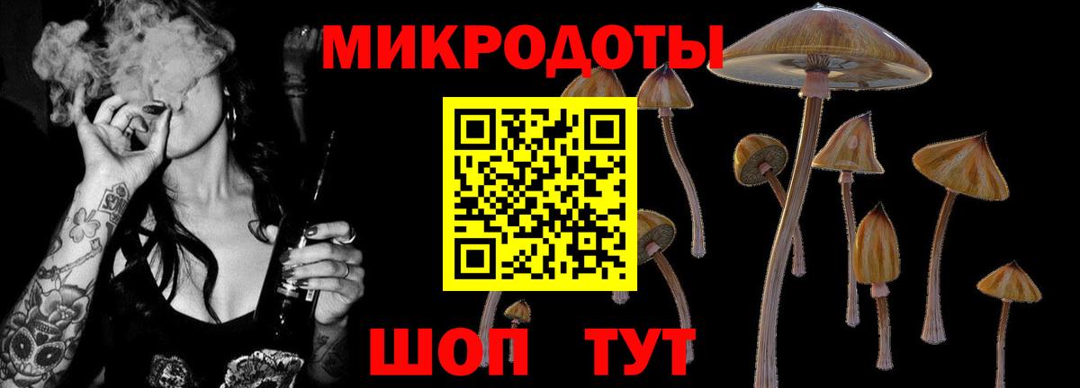 Псилоцибиновые грибы GOLDEN TEACHER  Вход с VPN  Кизляр 